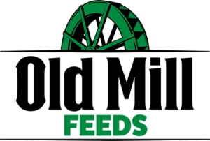 default-logo